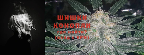 гашик Белоозёрский