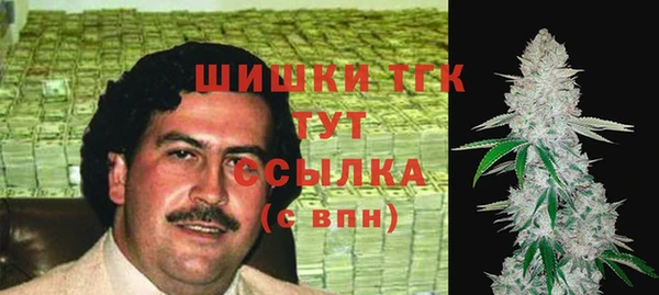 гашик Белоозёрский