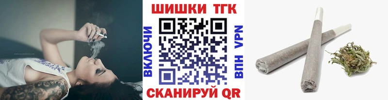 Конопля гибрид  Павловск 